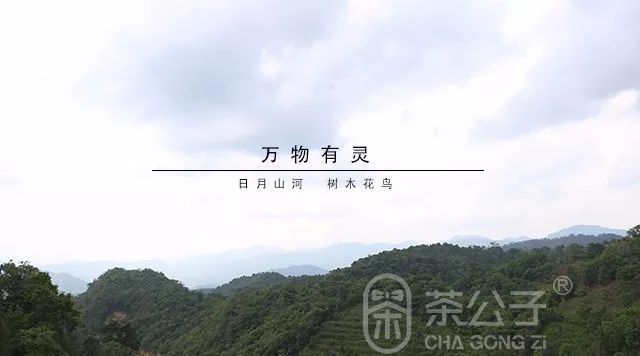 茶公子 茶空间 | 天地方圆间(图1)