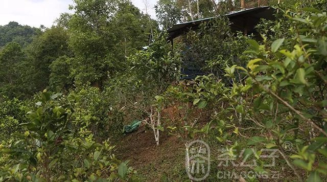 茶公子 茶空间 | 天地方圆间(图2)