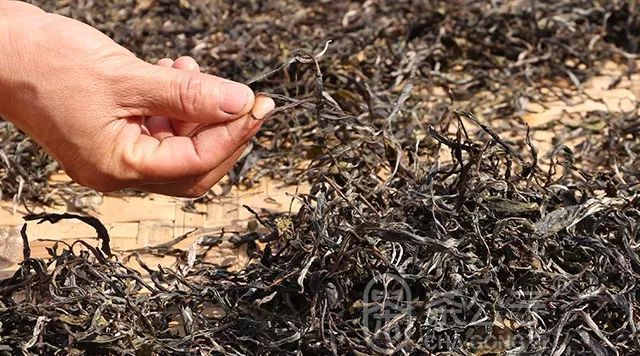 茶公子 茶空间 | 天地方圆间(图5)