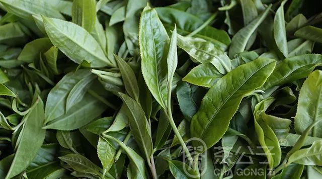 茶公子 茶空间 | 天地方圆间(图4)