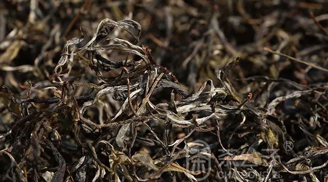 茶公子 茶空间 | 天地方圆间(图6)